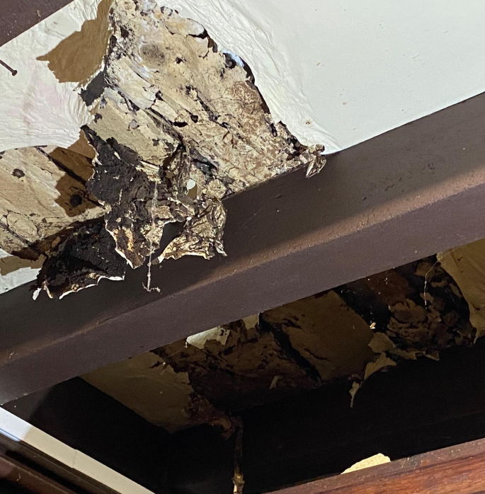 Sd Traitement Termites Traitement Termites Pau Avis De Recherche – Insectes Mangeurs De Bois