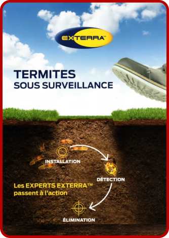 Sd Traitement Termites Traitement Termites Pau EXTERRA 1