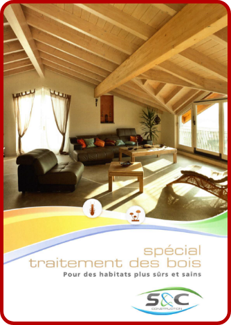 Sd Traitement Termites Traitement Termites Pau Miniature