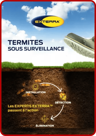 Sd Traitement Termites Traitement Termites Pau Sd Traitement Termites Traitement Termites Pau EXTERRA 1